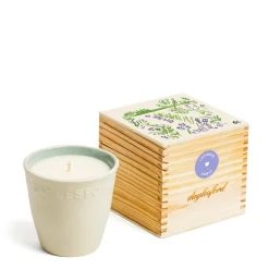 Daylesford Organic Candles>Limited Edition Lavender Botanic Candle