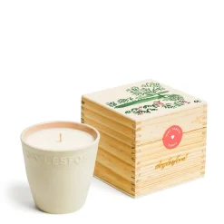 Daylesford Organic Candles>Limited Edition Vine Tomato Botanic Candle