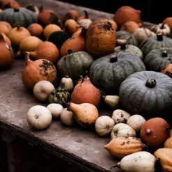 Daylesford Organic Fruit & Vegetables>Market Garden Mixed Squash