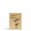 Daylesford Organic Seeds>Phacelia Seeds